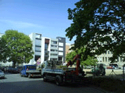 Townhouses auf dem Friedrichswerder 